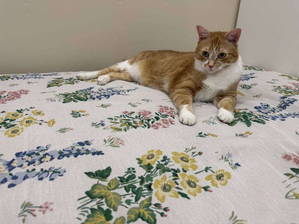 Checking Out the Texture of the Parachute Linen Sheet Set