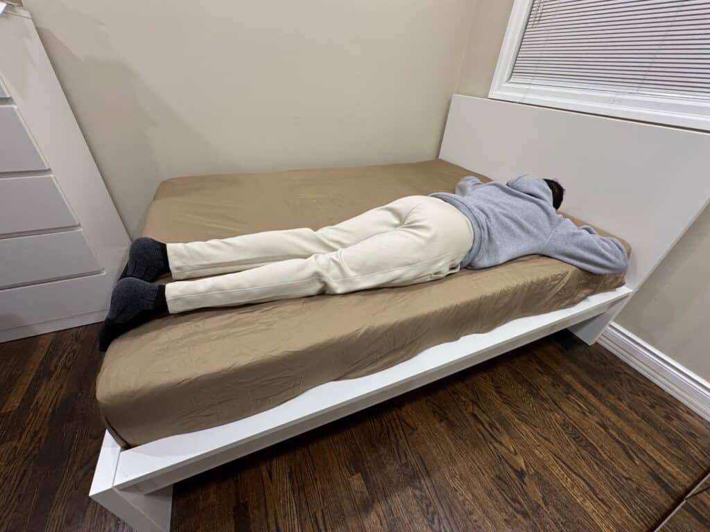 Canadian Down and Feather Company Hutterite Goose Down Pillow