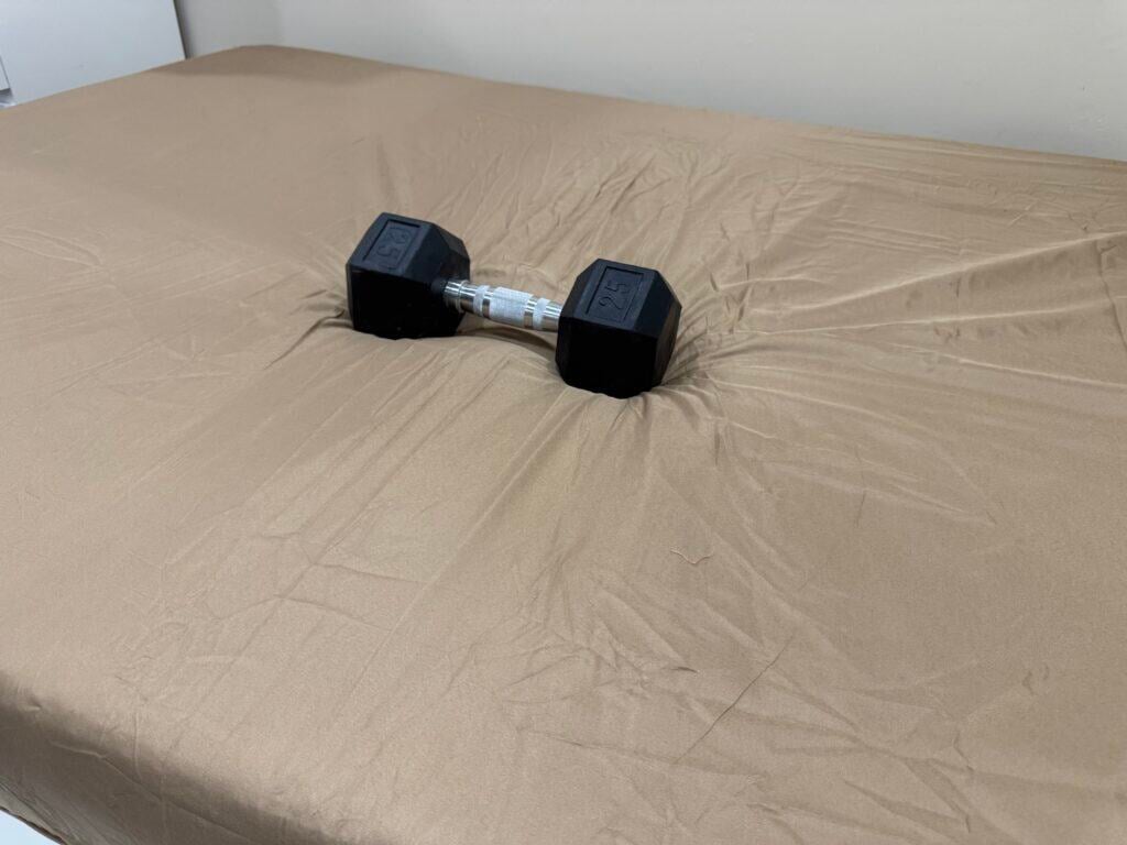 Canadian Down and Feather Company White Goose Feather Pillow