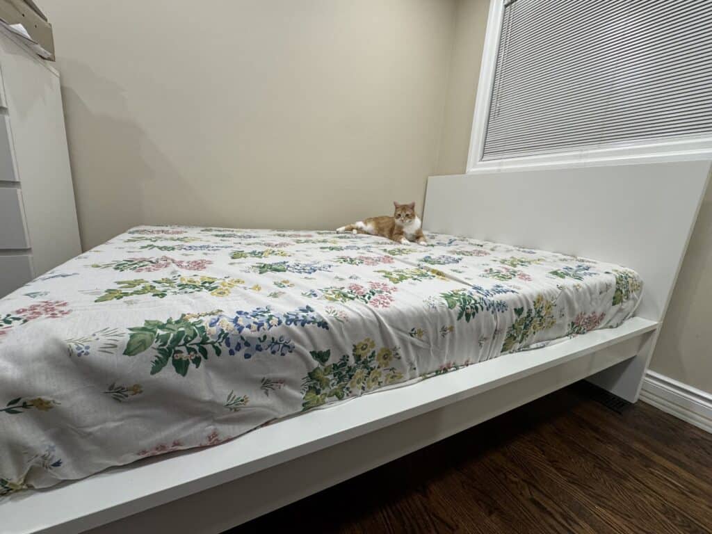 LilySilk 19 Momme Pillowcase