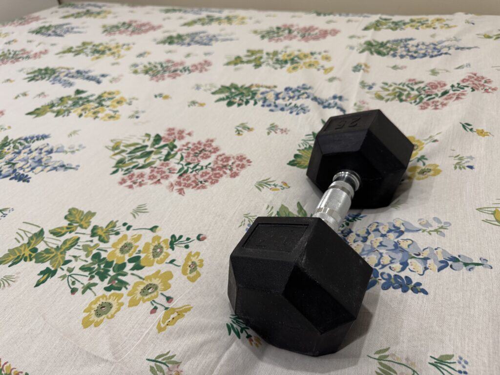 Simons Duveteuse Feather and Down Pillow