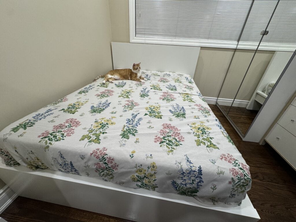 Endy Weighted Blanket